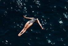 fraud activity oversight committee