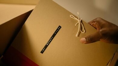 fraud surveillance bureau division