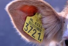 suspicious activity regulation tracking