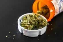 telecom fraud regulation oversight