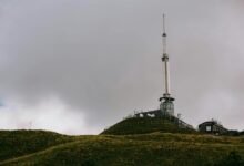 telecommunication fraud prevention agency